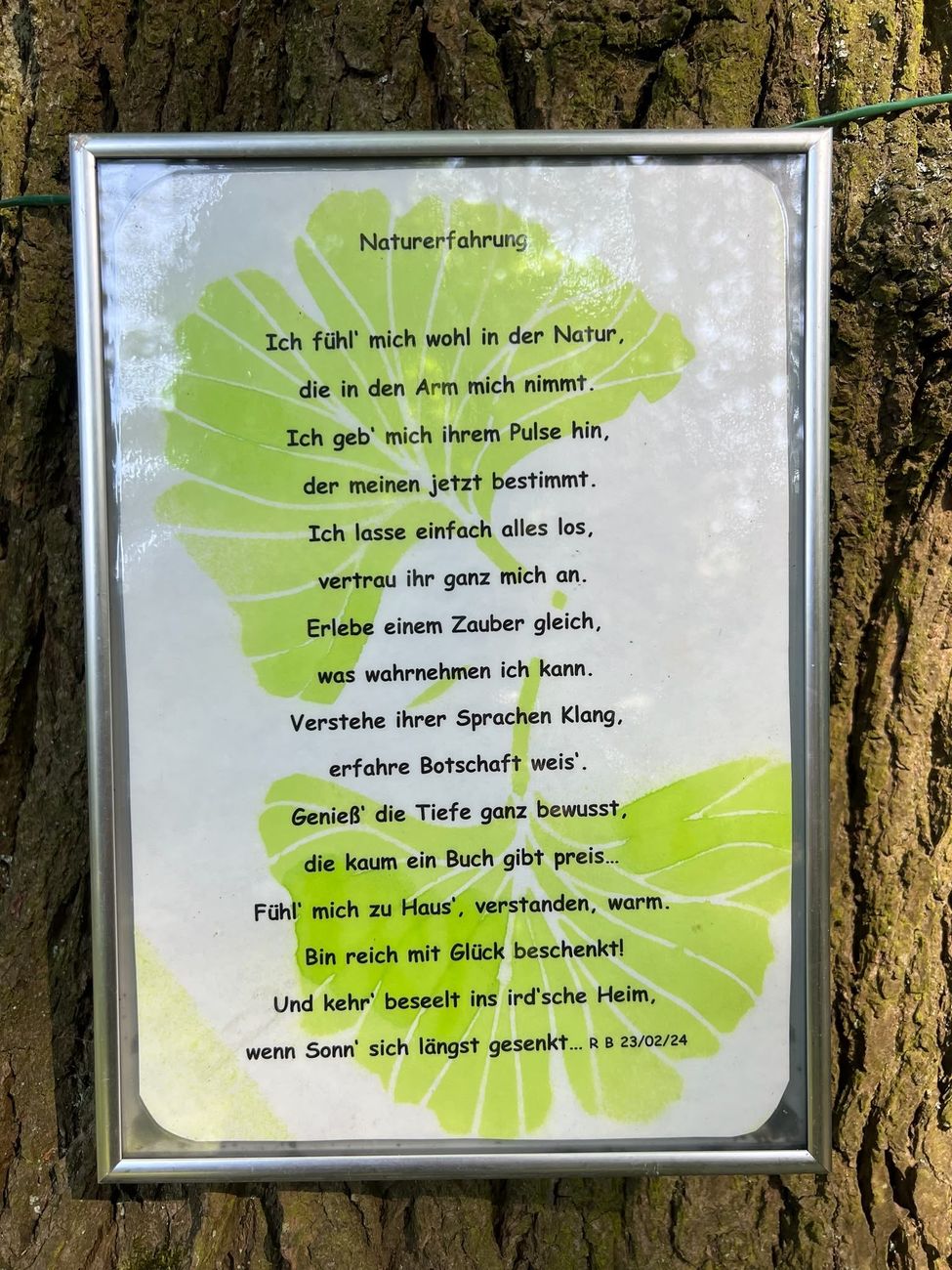 Das gerahmte Gedicht „Naturerfahrung“ an einem Baumstamm im Waldpark