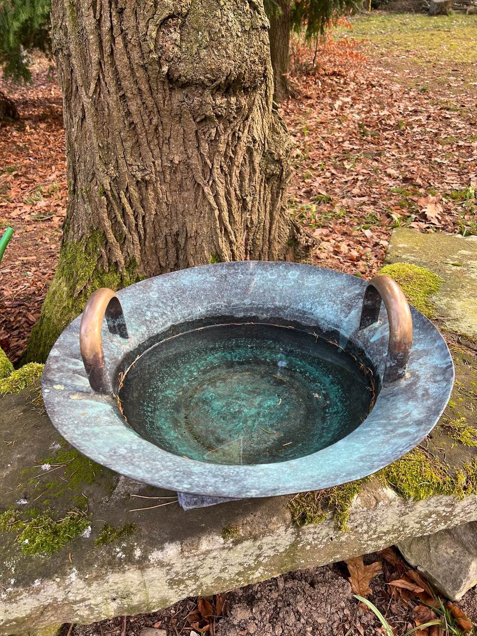 Bronzene Klangschale an einem Baum im Waldpark